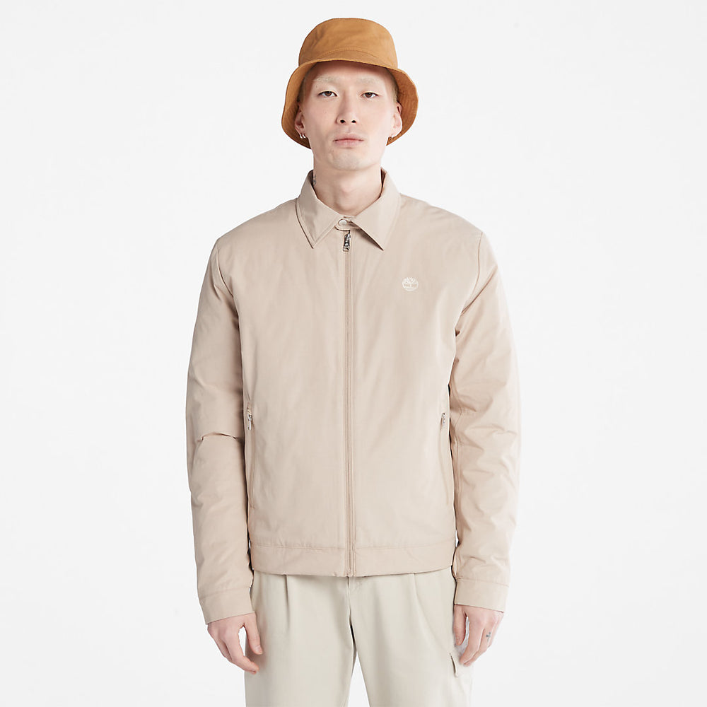 Men's Stratham Winter Bomber Jacket in Beige Timberland On Sale