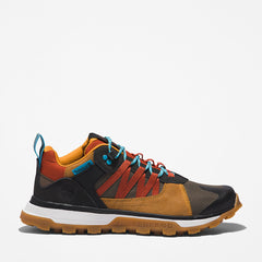 Treeline STR Trainer for Men in Brown Timberland Online