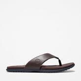 Kesler Cove Toe-bar Sandal for Men in Dark Brown Timberland On Sale