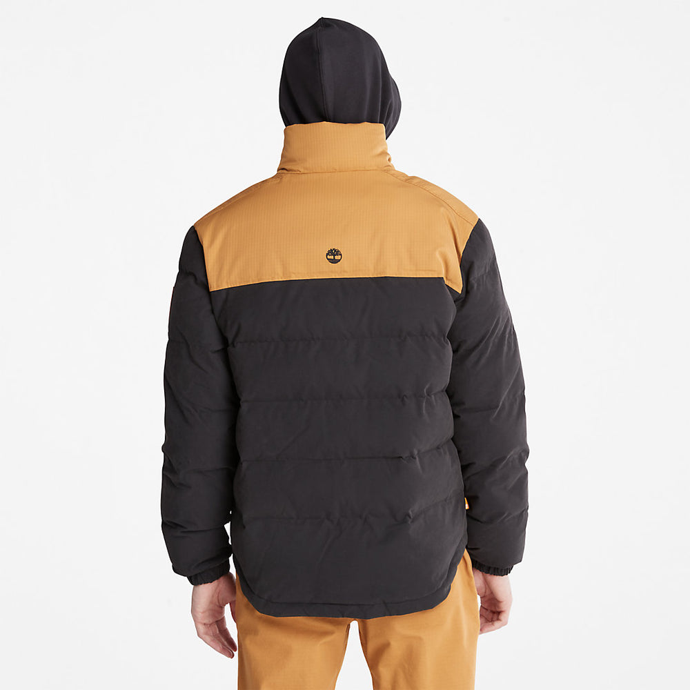 Welch Mountain Puffer Jacket for Men in Black Timberland On Sale