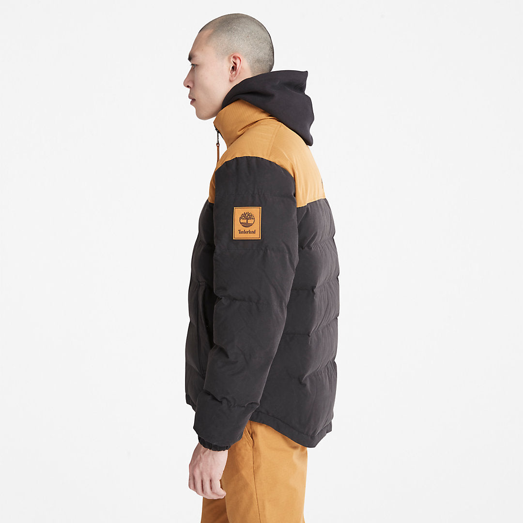 Welch Mountain Puffer Jacket for Men in Black Timberland On Sale