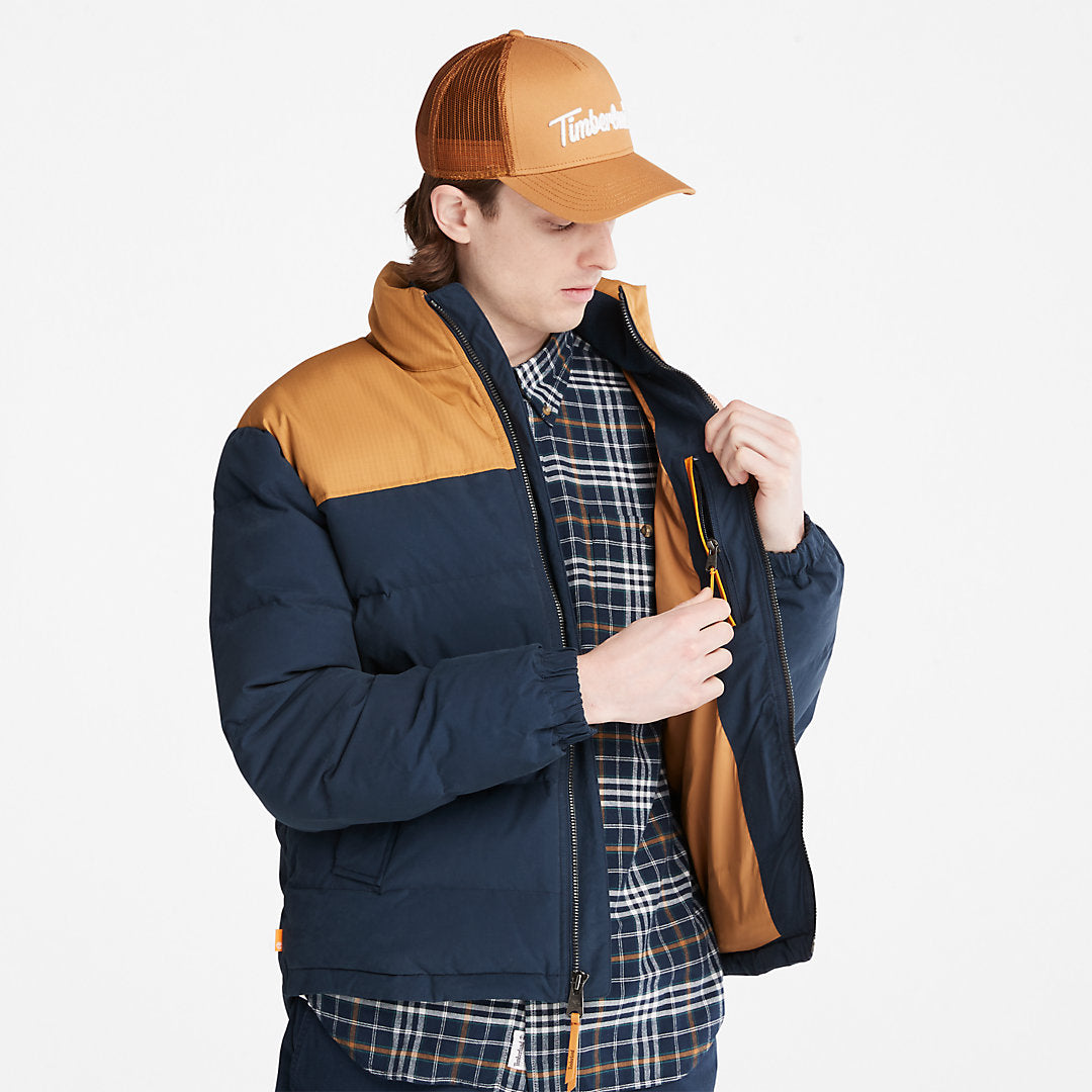 Welch Mountain Puffer Jacket for Men in Navy Timberland Online