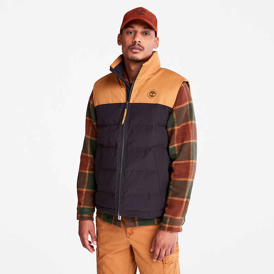 Welch Mountain Puffer Vest for Men in Black Timberland Online