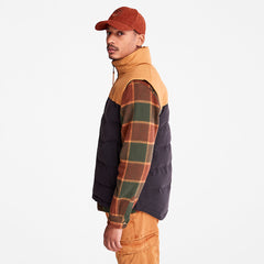 Welch Mountain Puffer Vest for Men in Black Timberland Online