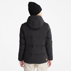 Down-Free Insulated Jacket for Women in Black Timberland Online