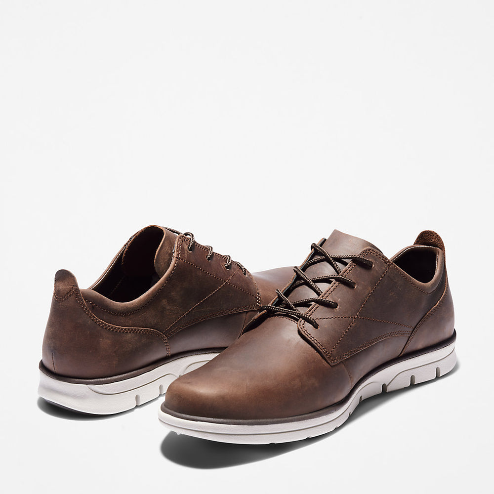 Bradstreet Sneaker for Men in Dark Brown Timberland For Sale