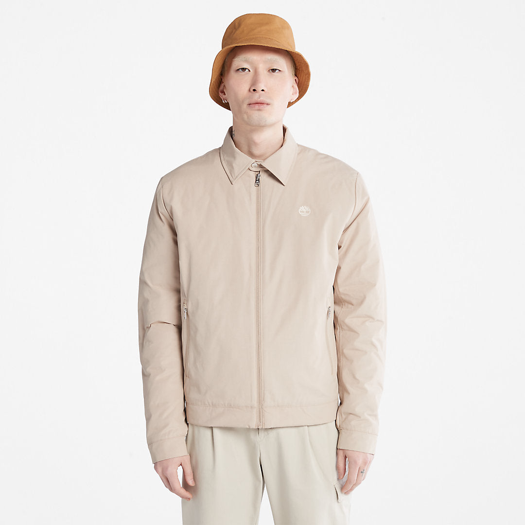 Men's Stratham Winter Bomber Jacket in Beige Timberland On Sale