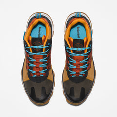 Treeline STR Trainer for Men in Brown Timberland Online