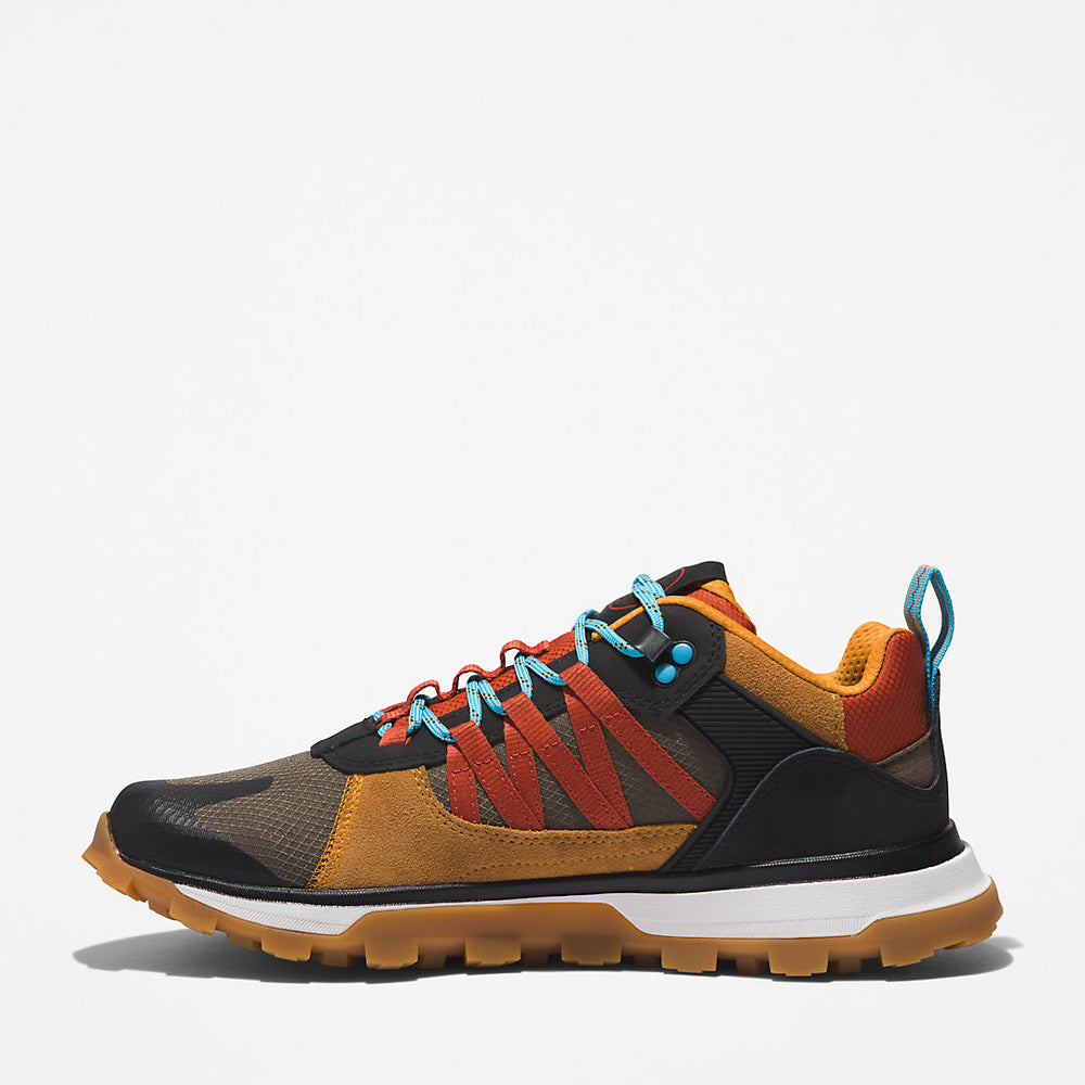 Treeline STR Trainer for Men in Brown Timberland Online