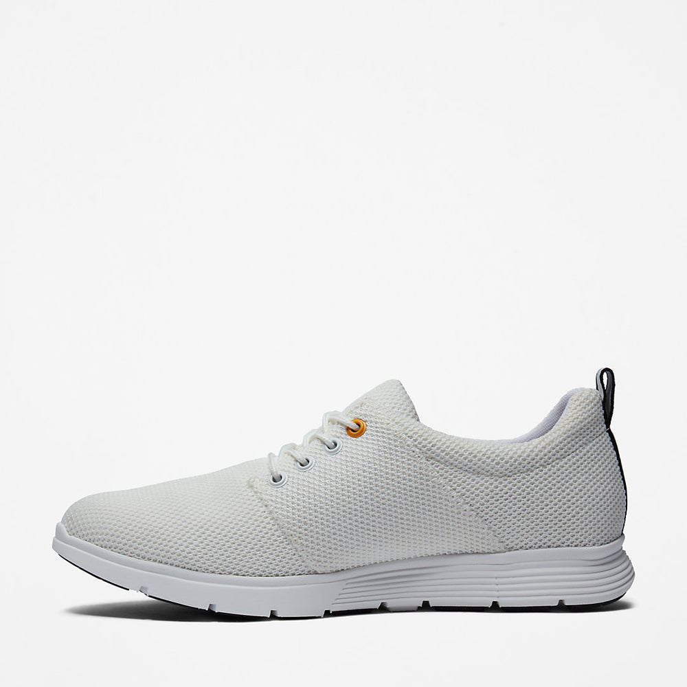 Killington Oxford Shoe for Men in White Timberland On Sale
