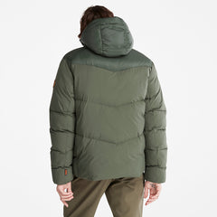 Neo Summit Winter Jacket for Men in Dark Green Timberland Outlet