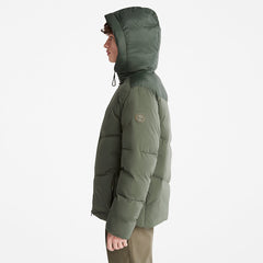 Neo Summit Winter Jacket for Men in Dark Green Timberland Outlet