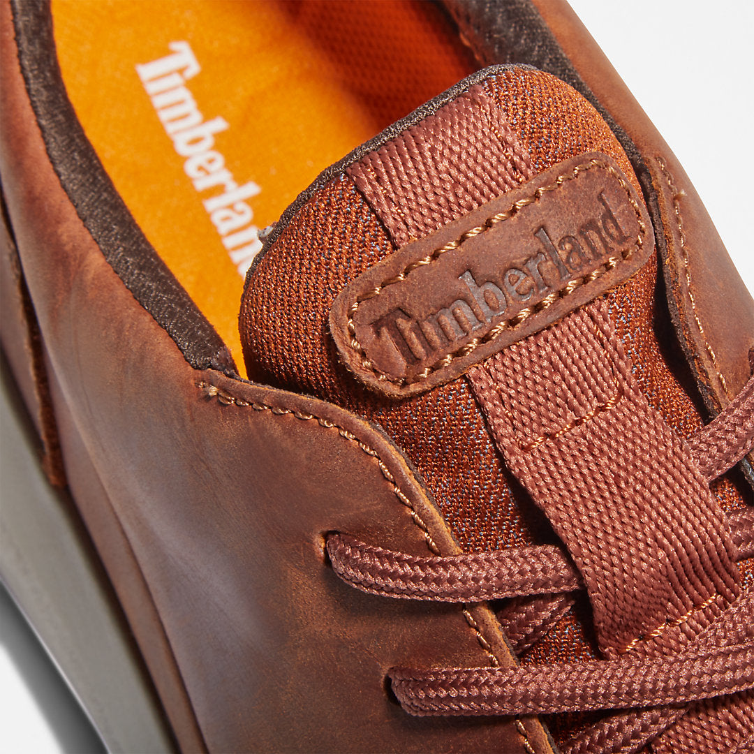 Bradstreet Ultra Trainer for Men in Brown Timberland For Sale