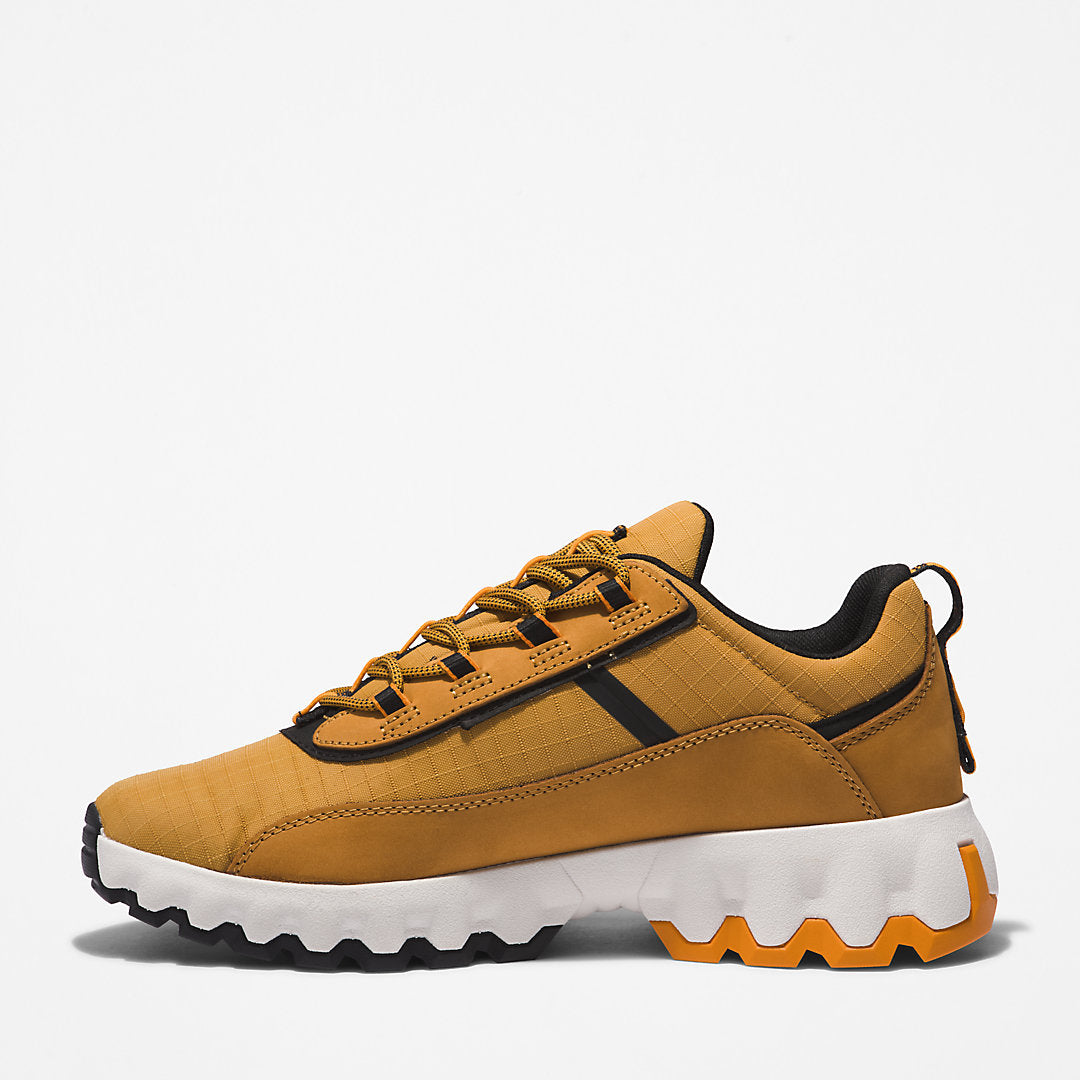 GreenStride™ TBL® Edge Trainer for Men in Brown Timberland Outlet