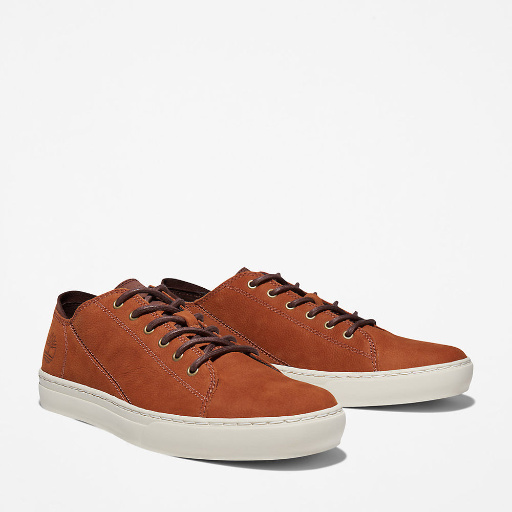 Adventure 2.0 Cupsole Oxford for Men in Brown Timberland US